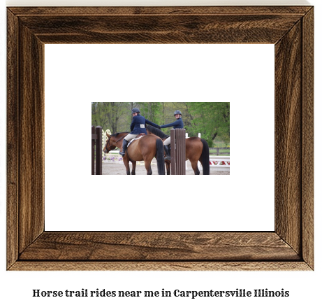 horse trail rides near me in Carpentersville, Illinois